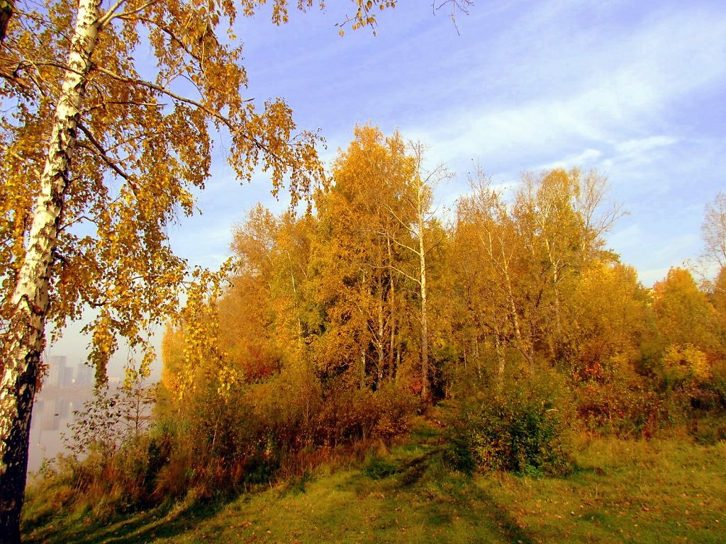 Осень верхняя. Уральская осень Евгений Рогачевский. Осень верхний Уфалей. Расфокус осень. Усмань осенняя.