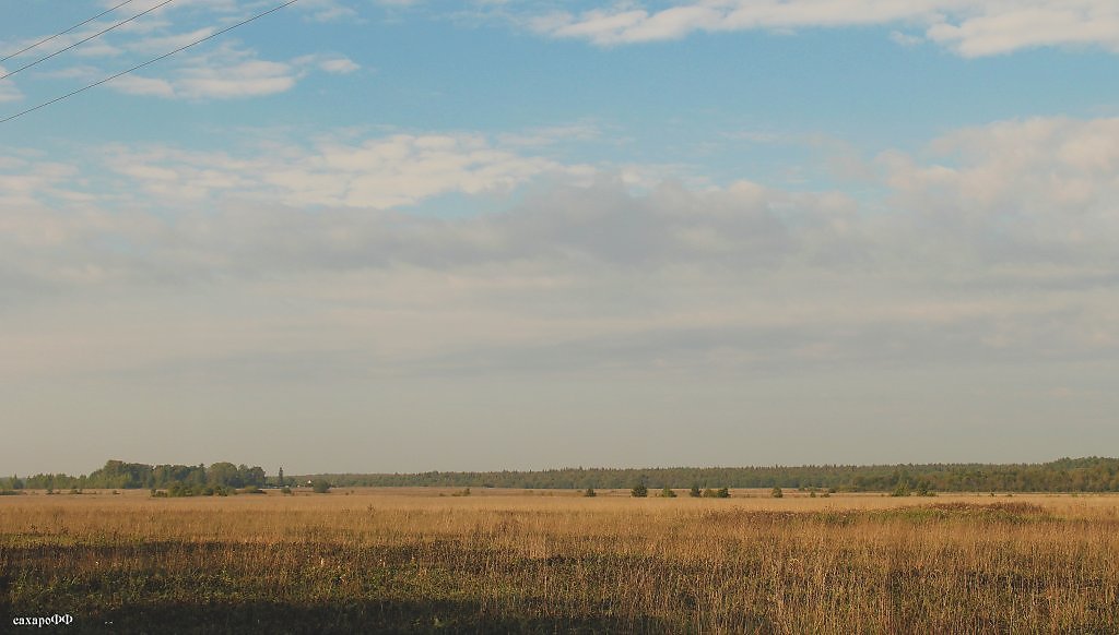 Старое село погода вологодской область