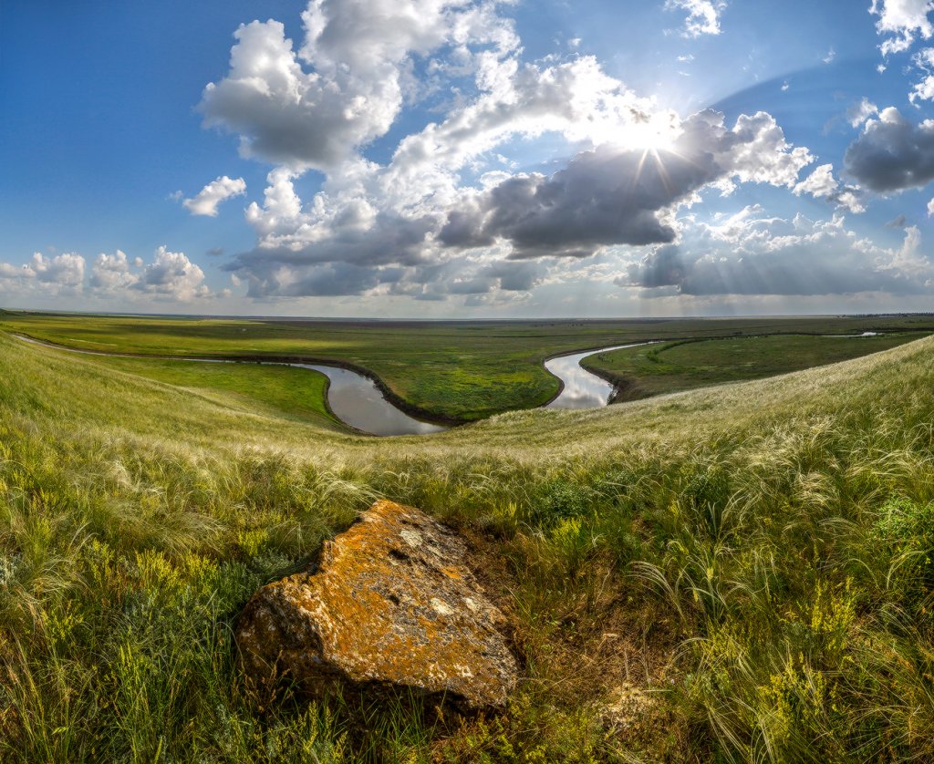 Фёдор Лашков ковыль степь