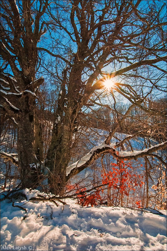 Фотографии декабря. Декабрь пейзаж. Природа в начале декабря. Декабрь картинки. С началом декабря красивые.