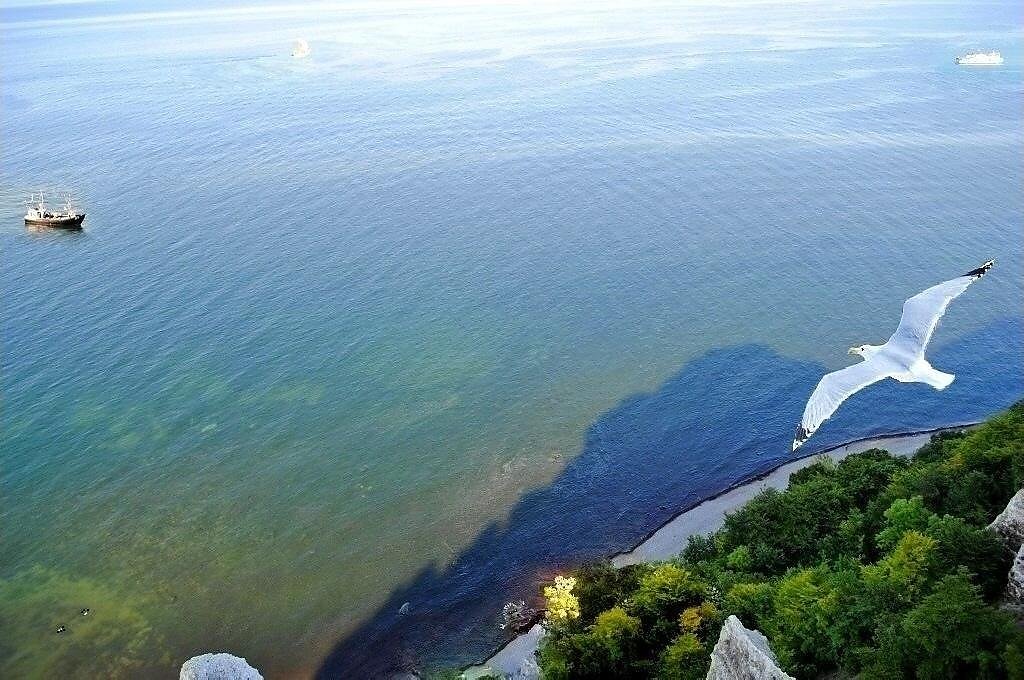 Между морем и ветром. Легкий ветерок на море. Корабли у берега Анапа. Чайка Ливингстон над волной. Крым с перевернутым кораблем на берегах.