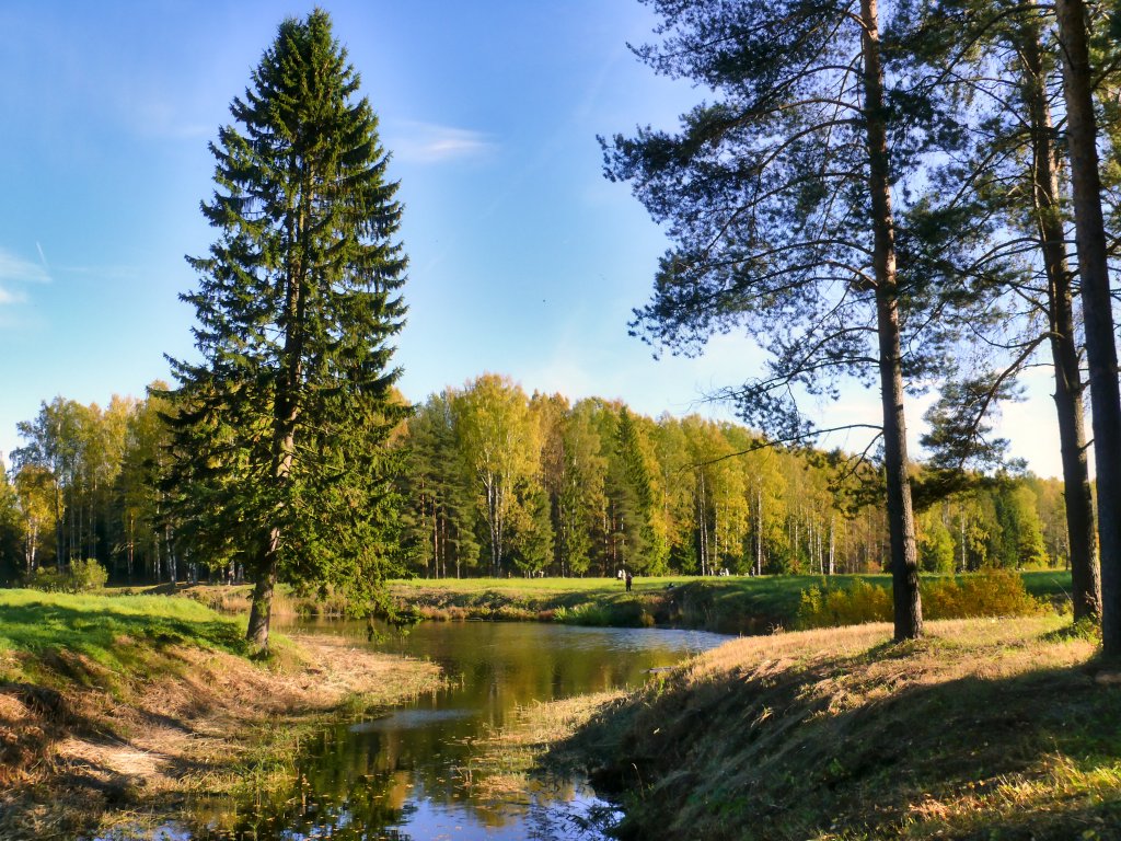 Фото новоорловский заказник