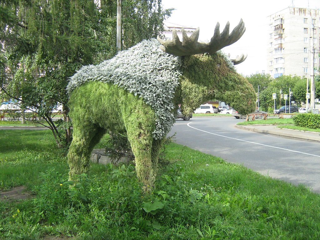 Фигуры красноярск. Слоны на Копылова Красноярск. Зеленые скульптуры в Красноярске. Цветочные скульптуры Красноярск. Парк зеленых фигур Красноярск.