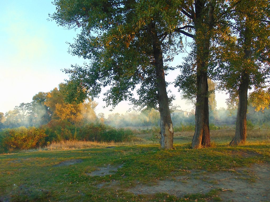 Три дерева. Пейзаж с тремя деревьями. Путилово пейзажи. Три дерева фото.