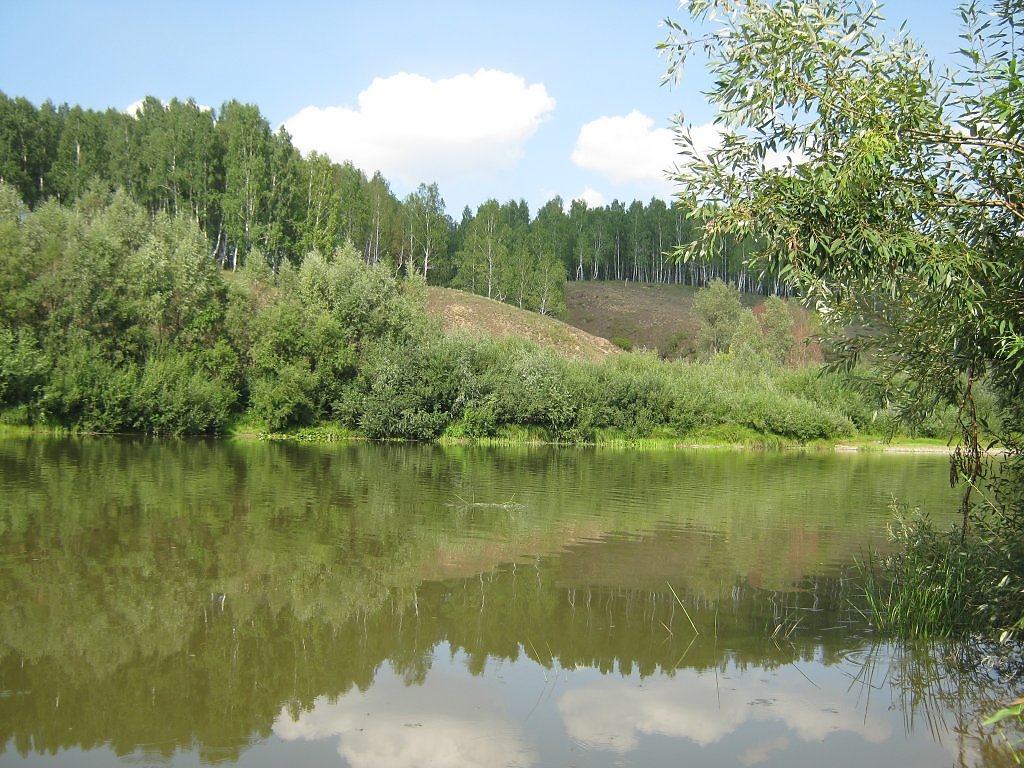 Тогучинский район горный фото