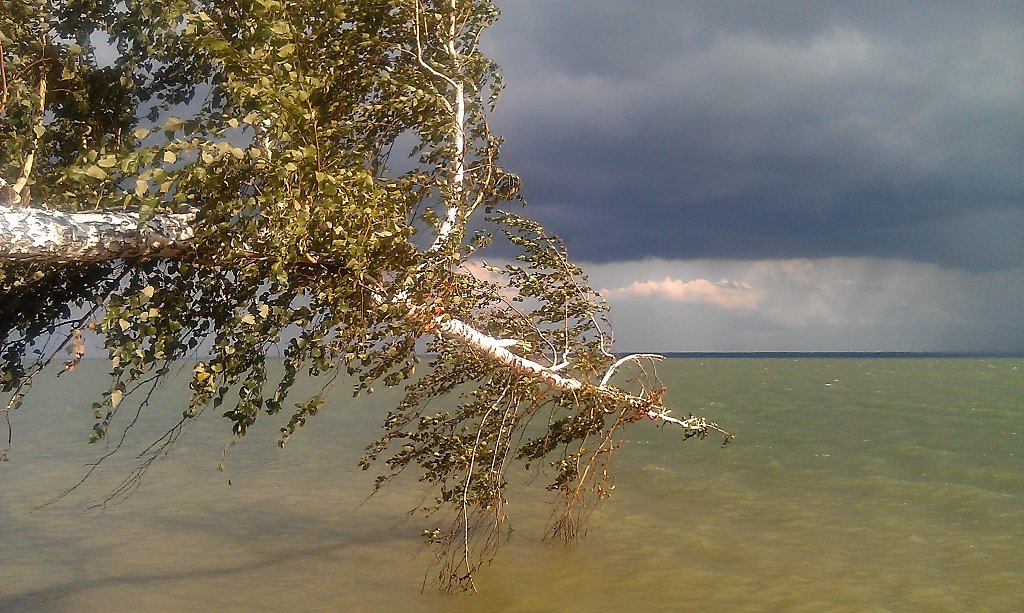 Обское водохранилище новосибирск сегодня