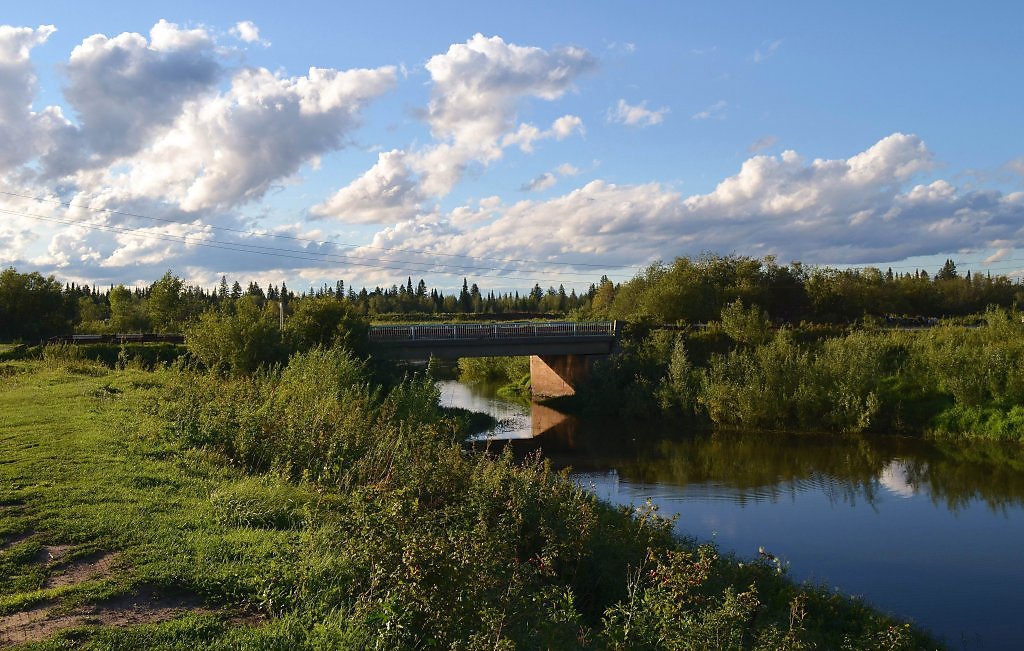 Родное место отзывы