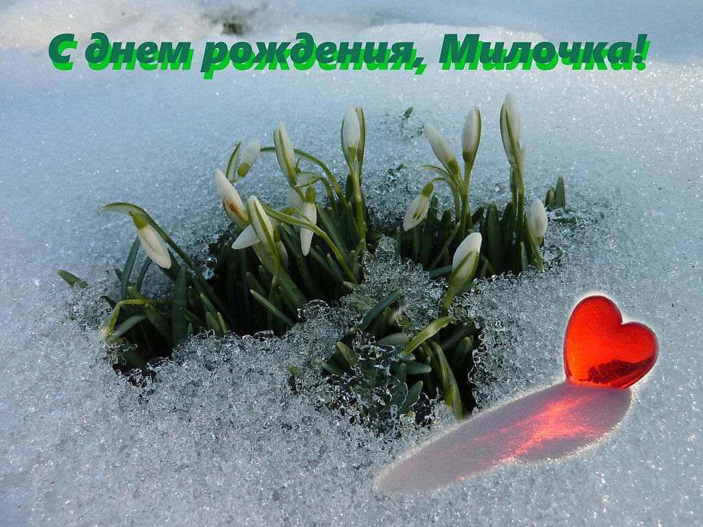 С днем рождения милочка