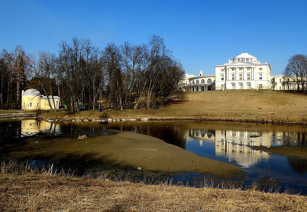 Квартира в павловске спб