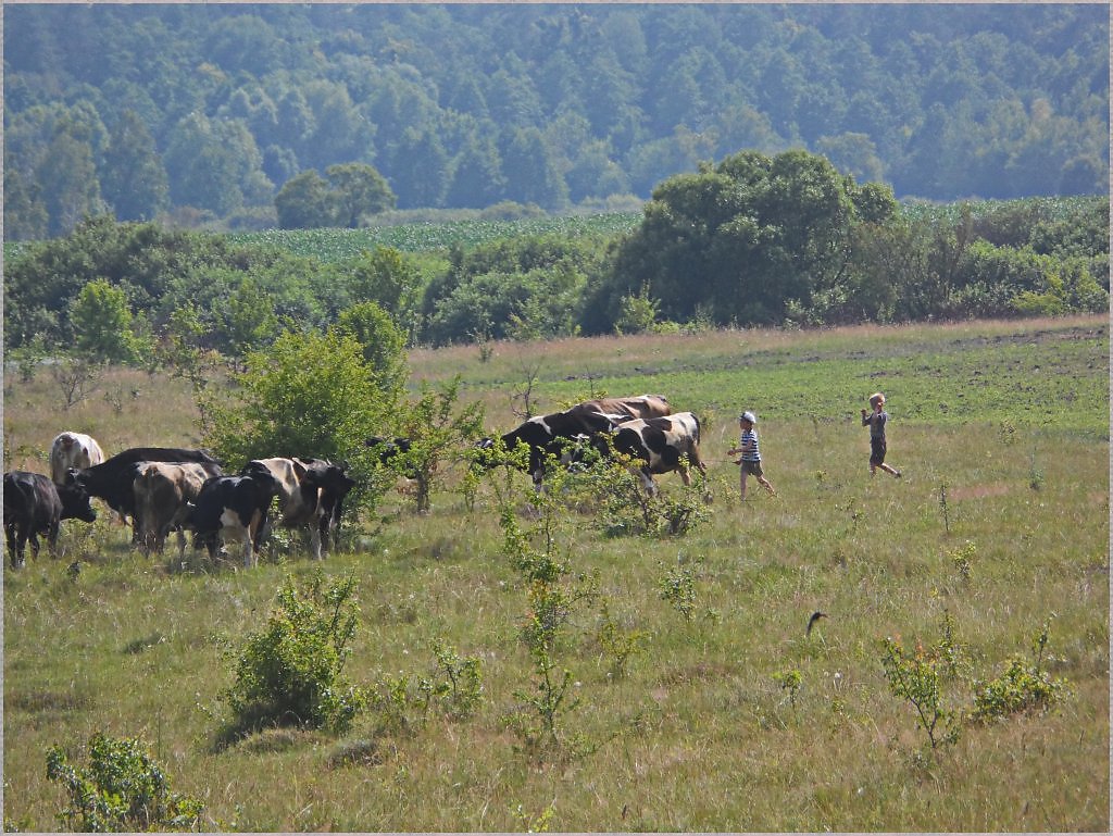 Погода село р