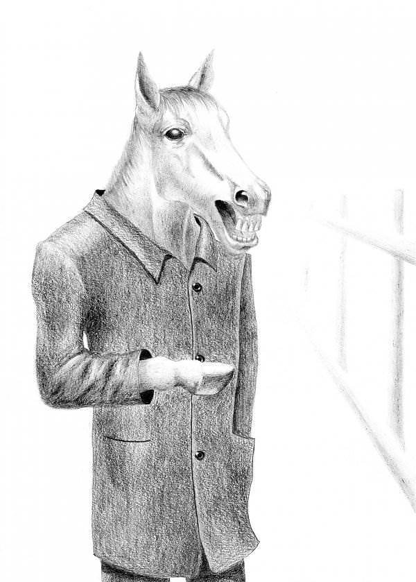 Пальто для коня