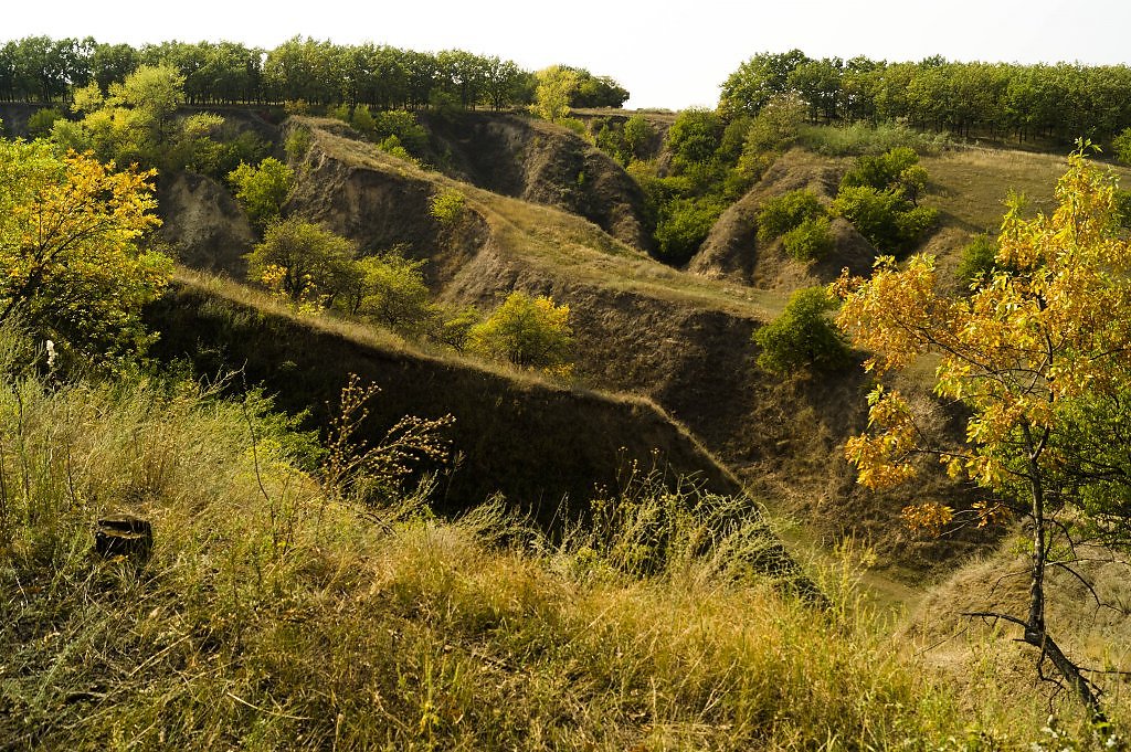 Лощина город. КОЧКАРНЫЙ овраг. Овраги Красноярского края. Балка Ржавец Курская область. Балки овраги Курская область.