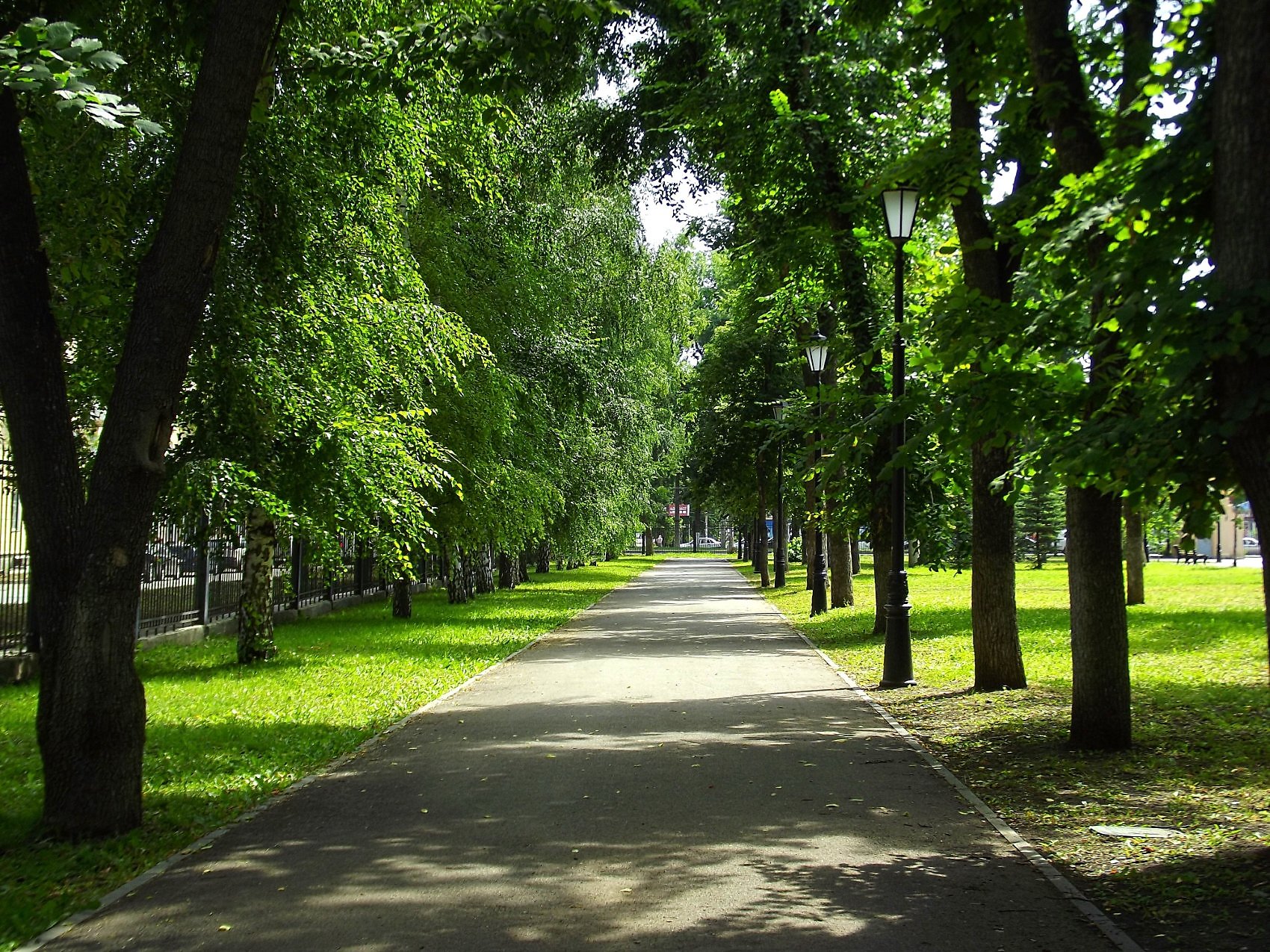 аллея парк в москве