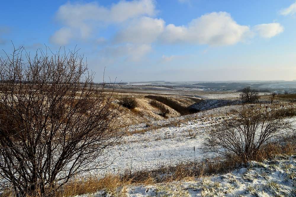 Благодатное приморский край хорольский. Овраг Беленький Камышин. Зимний овраг. Овраг весной.