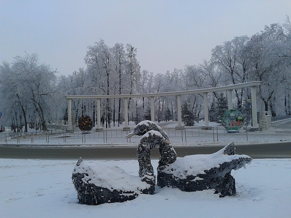 Погода ст александровской. Александровский сад Бийск зимой. Александровка зимой. Александровское зимой. Скамейка зимой в Александровском саду.