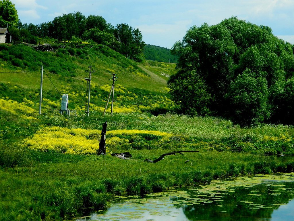 Село языково республика башкортостан