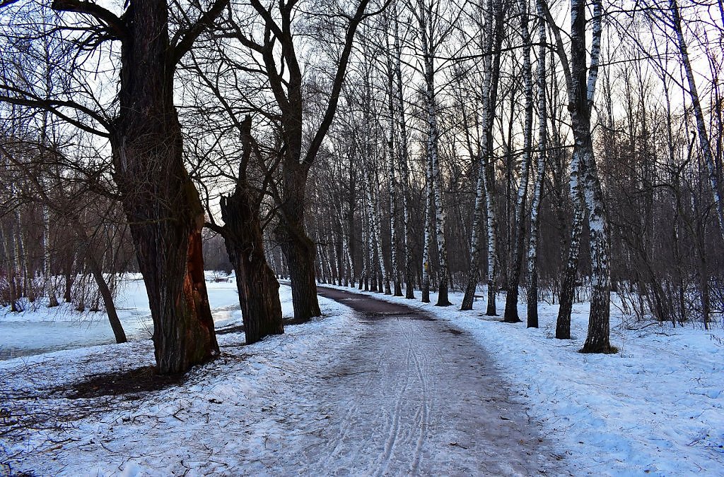 Парк ранней весной