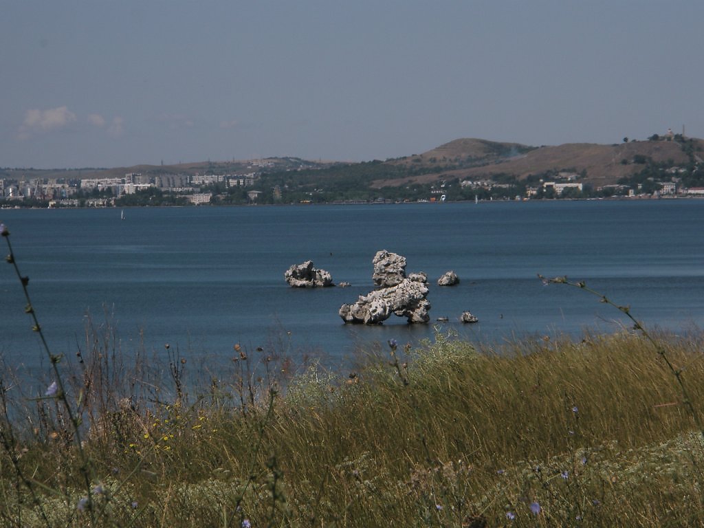 Змеинка владивосток