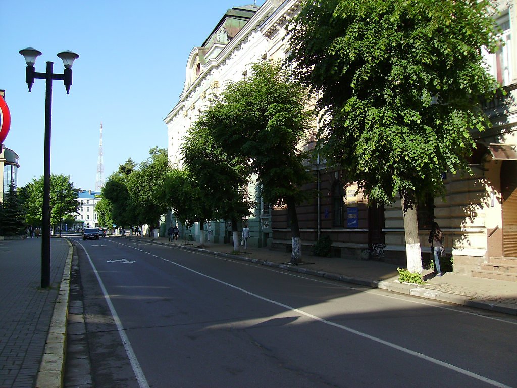 Улица михаила. Улица Михаила Грушевского. Ивано-Франковск улицы города. Ужгород улица Михаила Грушевского 61. Ивано Франковск ул Пушкина.