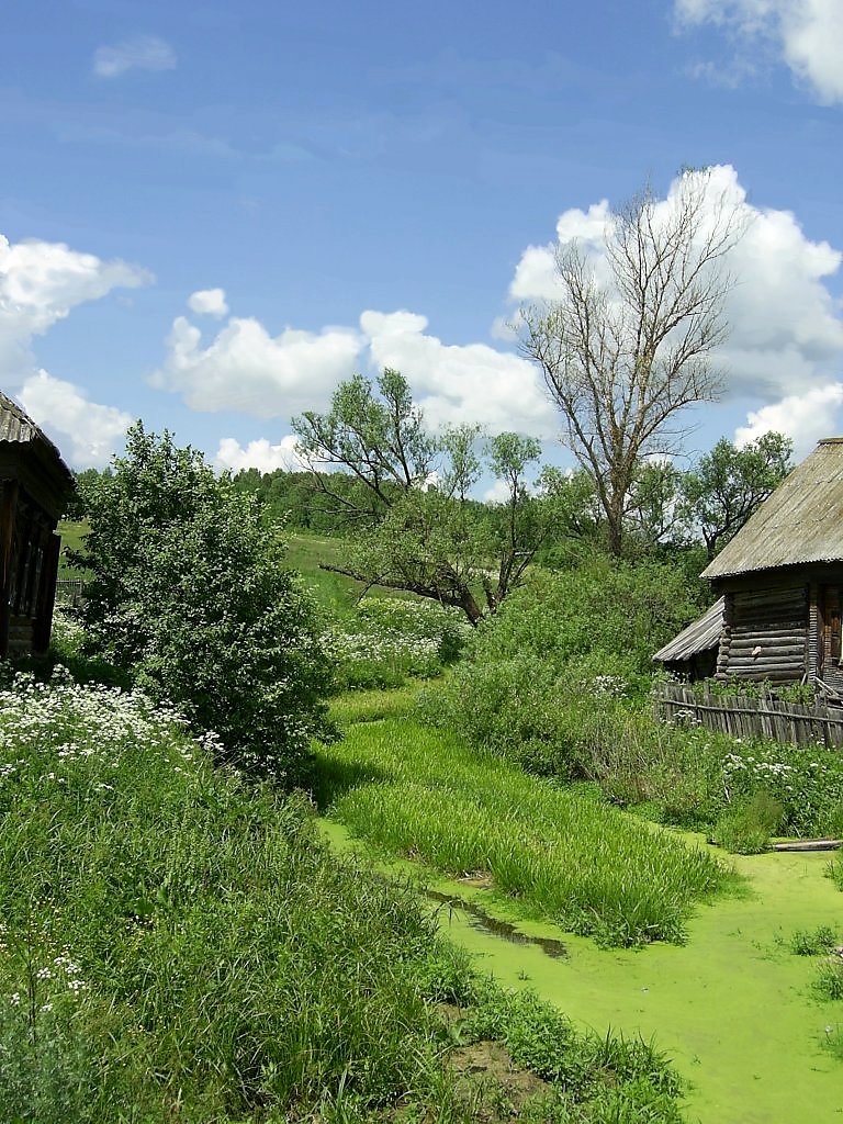 Тульские деревни фото. Ручей в деревне. Деревня село. Шведская деревня в Тульской области. Руновка село, деревня.