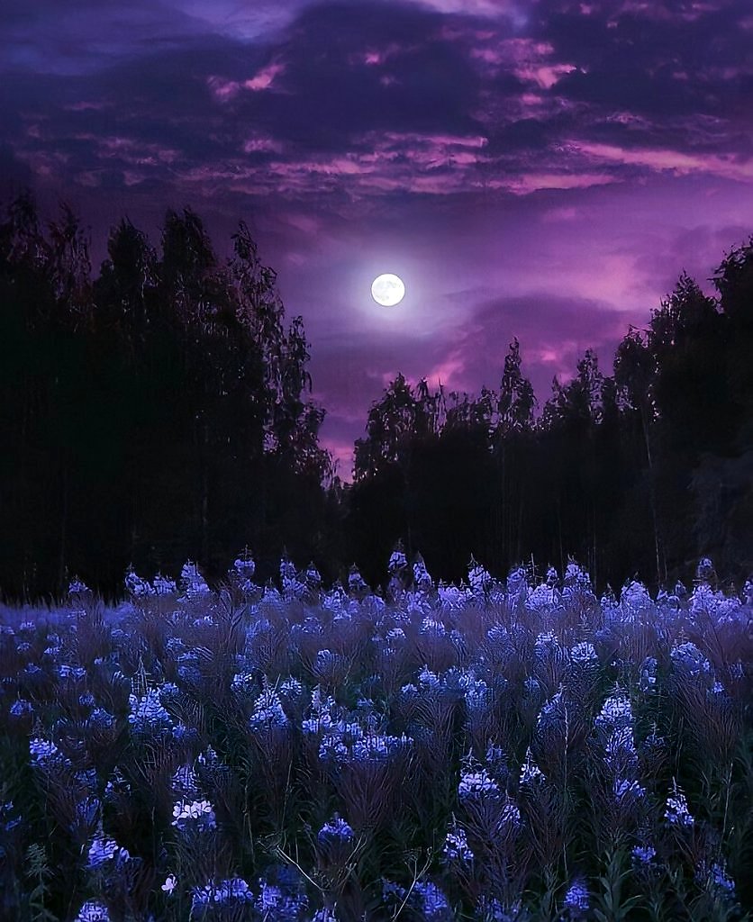 Фиолетовый пейзаж