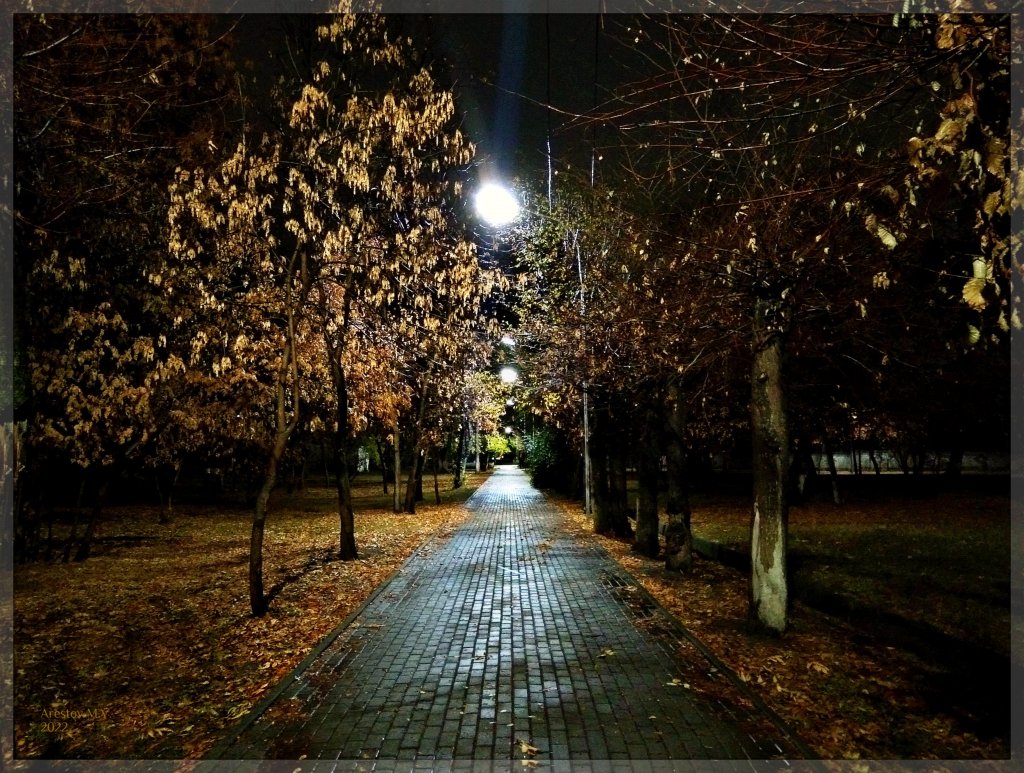 Осенняя аллея ночью